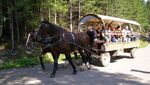 fasiag-morskie-oko-850x560.jpg