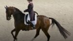 Screenshot 2024-08-03 at 11-15-26 Equestrian Dressage Team • Max.png